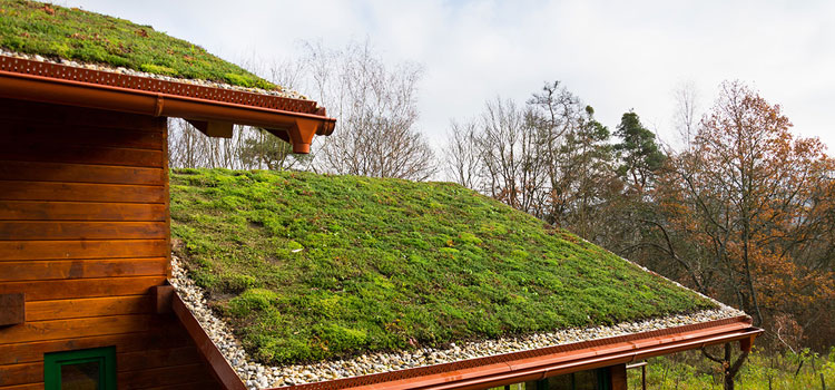 Baldwin Park Residential Green Roofing